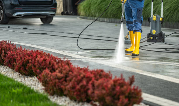 Best Driveway Pressure Washing  in Kilgore, TX